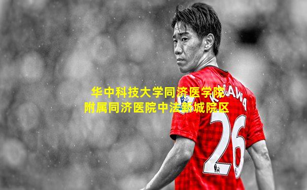 华中科技大学同济医学院附属同济医院中法新城院区
