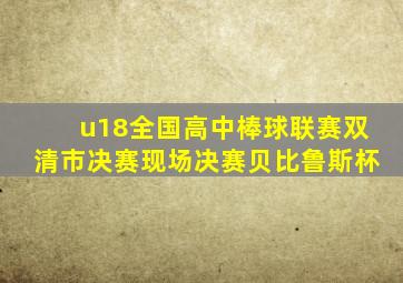 u18全国高中棒球联赛双清市决赛现场决赛贝比鲁斯杯