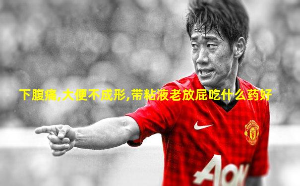 下腹痛,大便不成形,带粘液老放屁吃什么药好