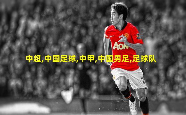 中超,中国足球,中甲,中国男足,足球队
