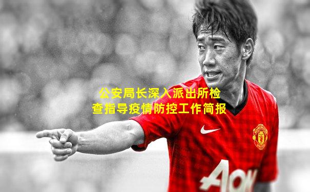 公安局长深入派出所检查指导疫情防控工作简报