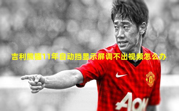 吉利熊猫11年自动挡显示屏调不出视频怎么办
