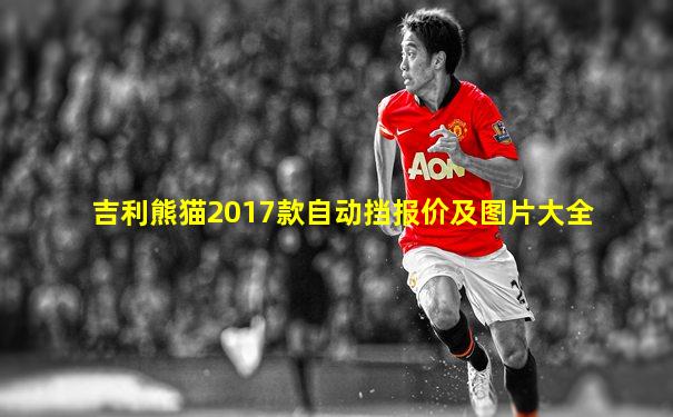 吉利熊猫2017款自动挡报价及图片大全