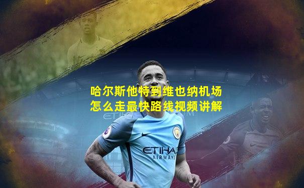 哈尔斯他特到维也纳机场怎么走最快路线视频讲解