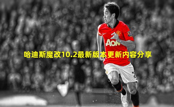 哈迪斯魔改10.2最新版本更新内容分享