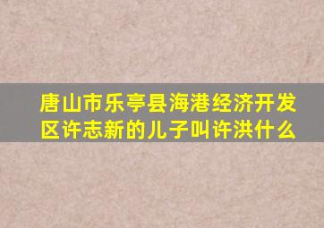 唐山市乐亭县海港经济开发区许志新的儿子叫许洪什么