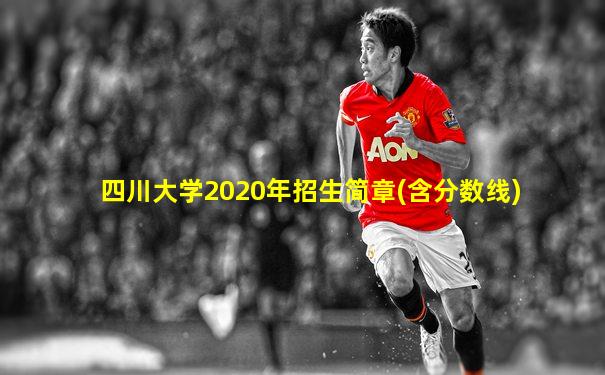 四川大学2020年招生简章(含分数线)