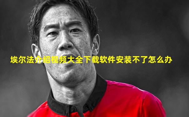 埃尔法介绍视频大全下载软件安装不了怎么办