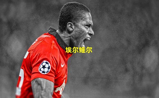 埃尔维尔