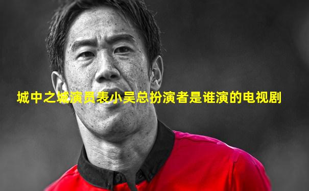 城中之城演员表小吴总扮演者是谁演的电视剧