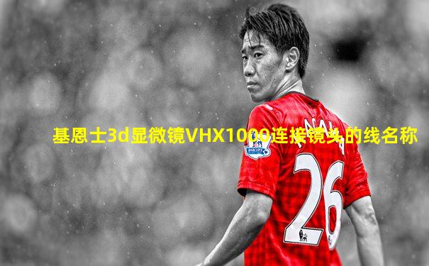 基恩士3d显微镜VHX1000连接镜头的线名称