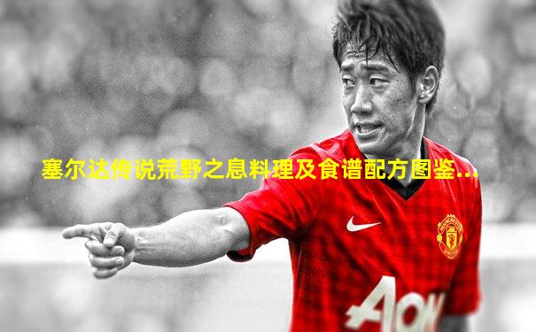 塞尔达传说荒野之息料理及食谱配方图鉴...