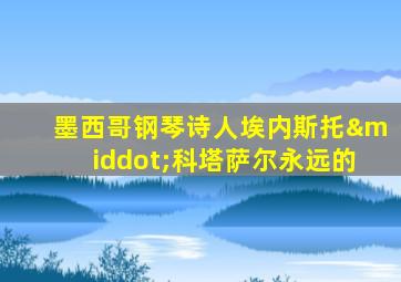 墨西哥钢琴诗人埃内斯托·科塔萨尔永远的