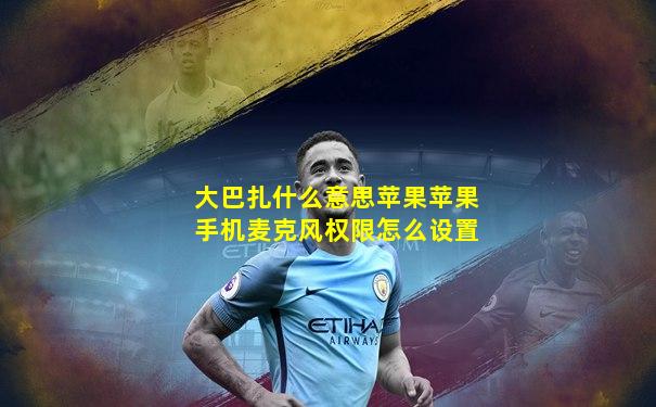 大巴扎什么意思苹果苹果手机麦克风权限怎么设置