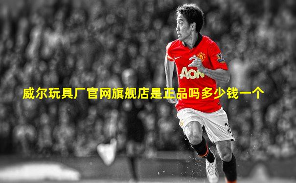 威尔玩具厂官网旗舰店是正品吗多少钱一个