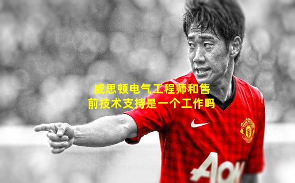 威思顿电气工程师和售前技术支持是一个工作吗