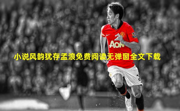 小说风韵犹存孟浪免费阅读无弹窗全文下载