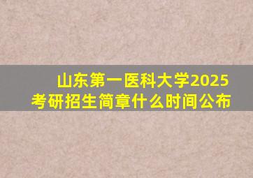 山东第一医科大学2025考研招生简章什么时间公布