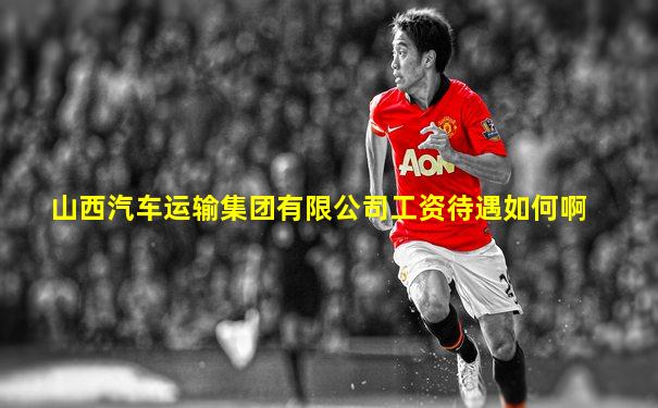 山西汽车运输集团有限公司工资待遇如何啊