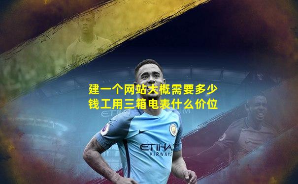 建一个网站大概需要多少钱工用三箱电表什么价位