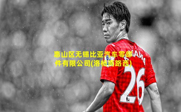 惠山区无锡比亚汽车零部件有限公司(洛杨南路西)