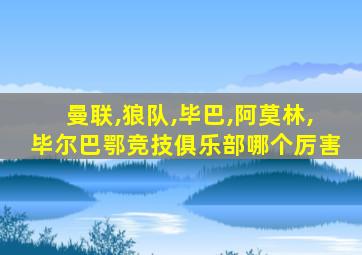 曼联,狼队,毕巴,阿莫林,毕尔巴鄂竞技俱乐部哪个厉害