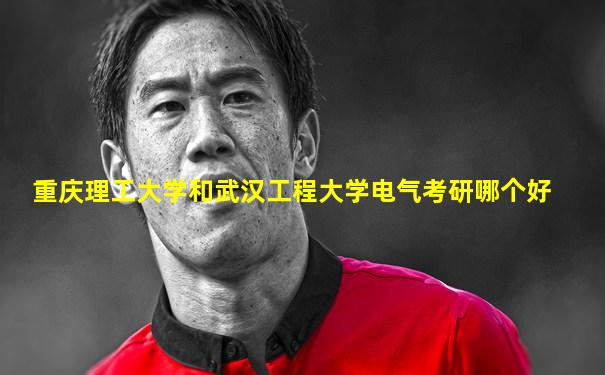 重庆理工大学和武汉工程大学电气考研哪个好